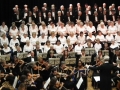 Verdi_2015_1